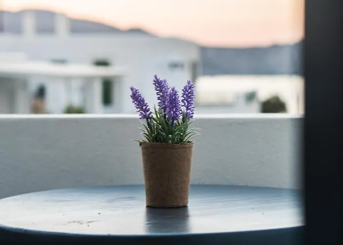 Vista Mare Науса